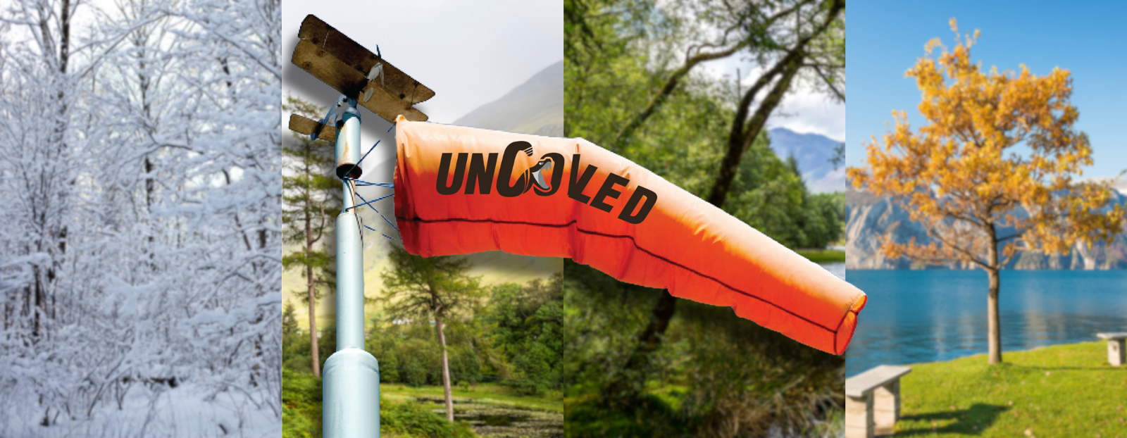 Seasonal maintenance for windsocks 