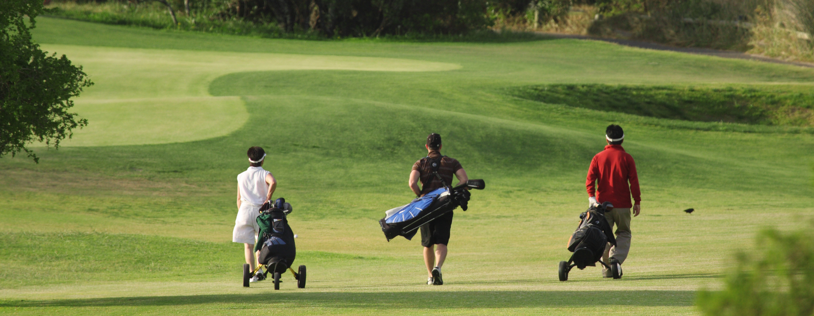 Golf Pin Windsocks for Charity Tournaments Golf Hole Sponsorship