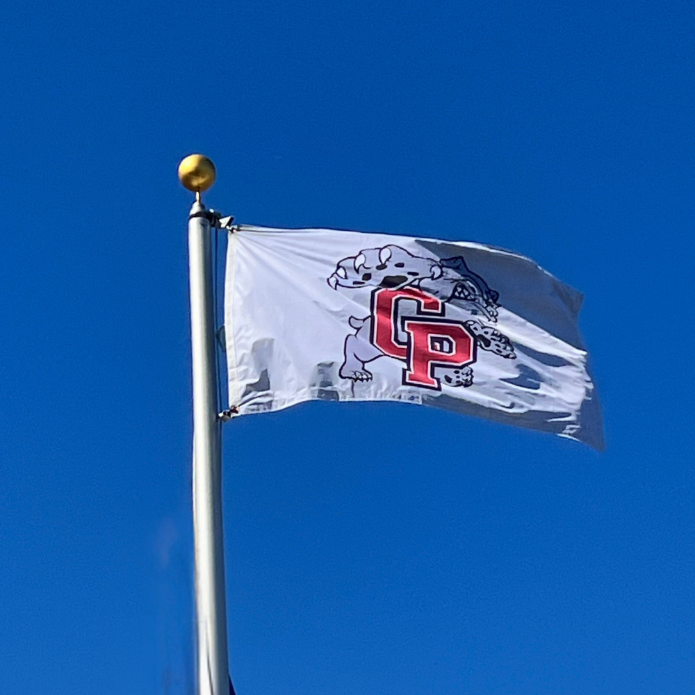 Custom Printed Double-Sided School Flag