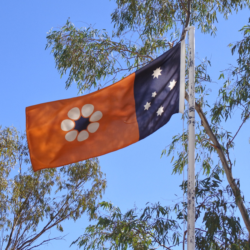Northern Territory flag buy online