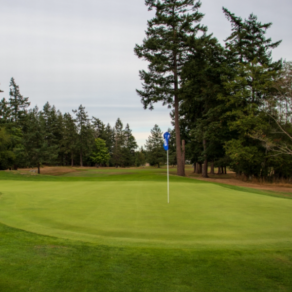 Custom printed golf pin windsock flag 
